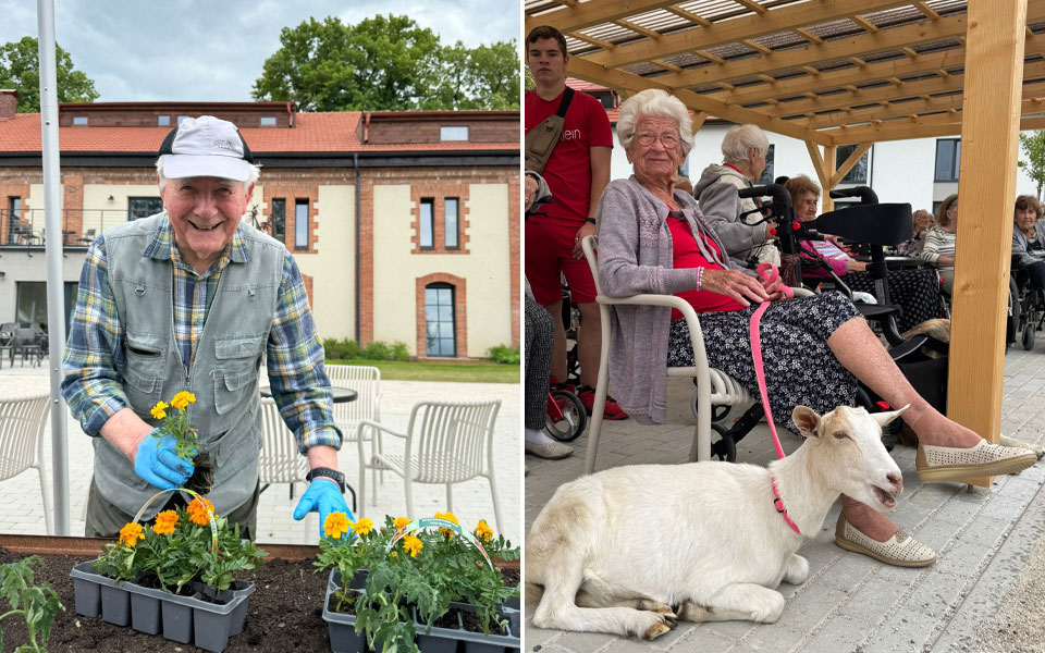 live-new-life-care-home-#2