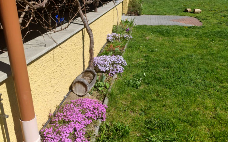 supported-living-residence